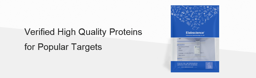 Elabscience Recombinant Proteins