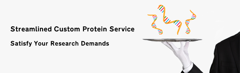 protein service