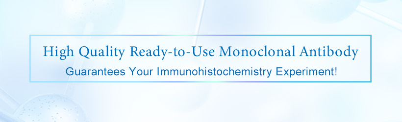 Elabscience Ready-to-Use Antibodies