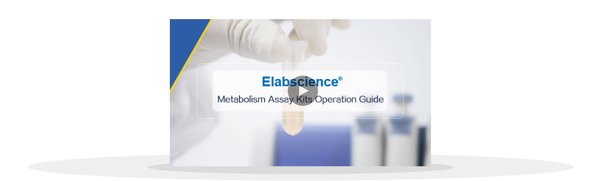 Metabolism Assay Kits Operation Guide