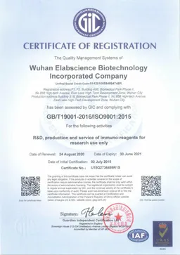 ISO 9001