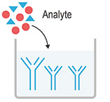 elisa assay procedure 1